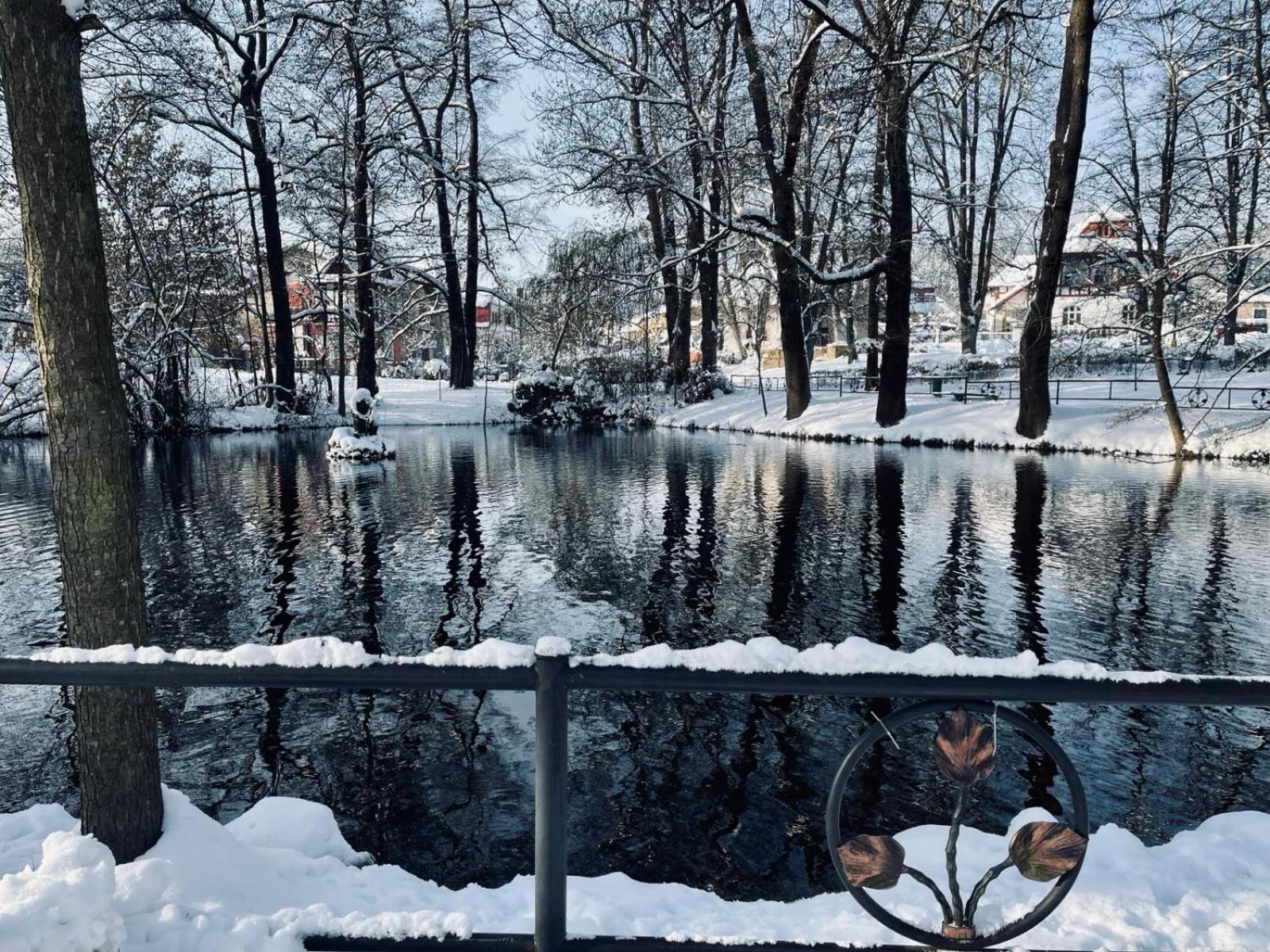 Ubytovani Javorka Ceska Trebova Buitenkant foto